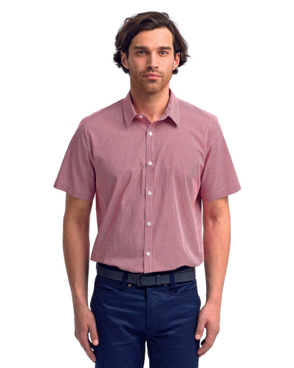 Artisan Finesse: The Men's Microcheck Gingham Short-Sleeve Cotton Shirt from the Artisan Collection by Reprime - Image 4